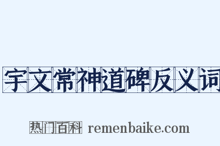 宇文常神道碑反义词是什么意思的图片